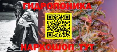 амф Боровичи