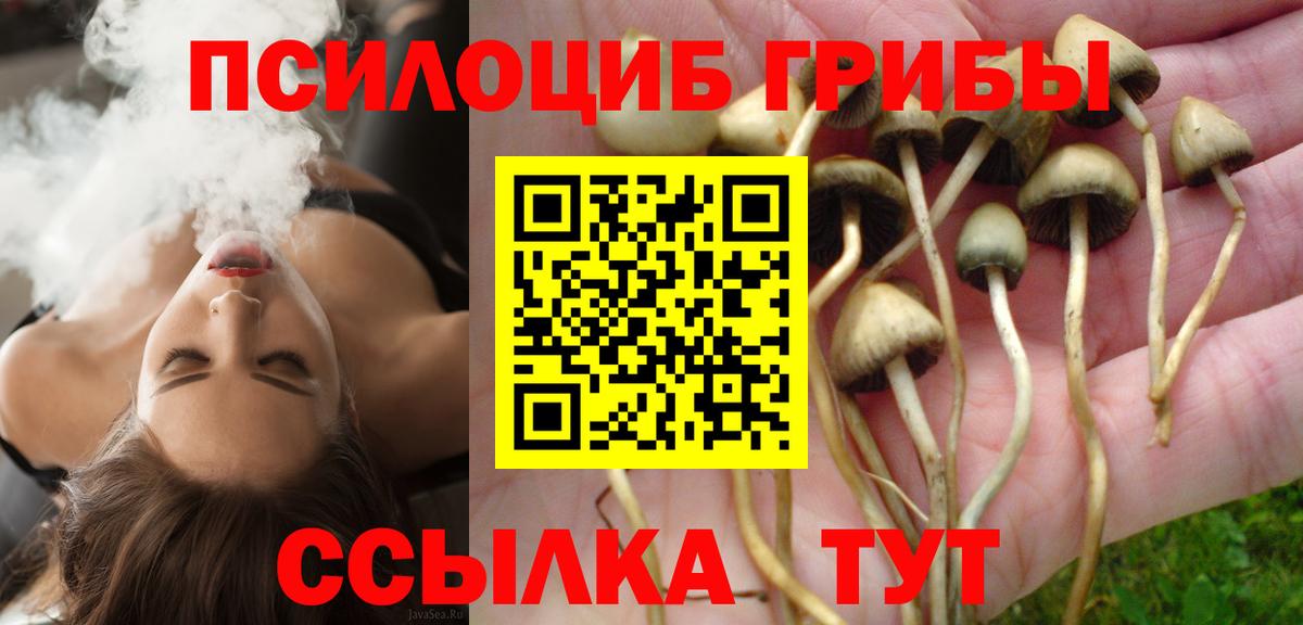 Мурманск  Псилоцибиновые грибы ЛСД  Вход с VPN 